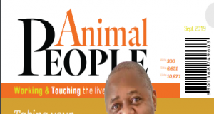 Animal magazine